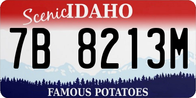 ID license plate 7B8213M