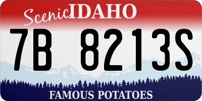 ID license plate 7B8213S
