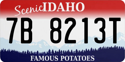 ID license plate 7B8213T