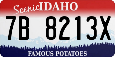 ID license plate 7B8213X