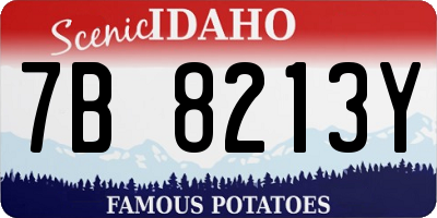 ID license plate 7B8213Y