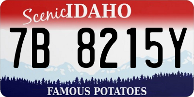 ID license plate 7B8215Y