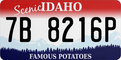 ID license plate 7B8216P