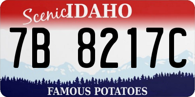 ID license plate 7B8217C