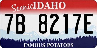 ID license plate 7B8217E