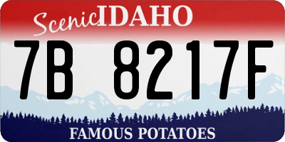 ID license plate 7B8217F