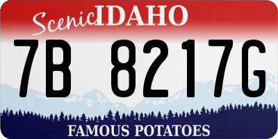 ID license plate 7B8217G