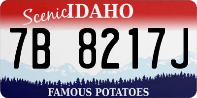 ID license plate 7B8217J