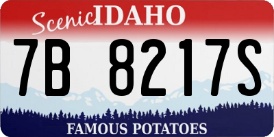 ID license plate 7B8217S