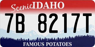ID license plate 7B8217T