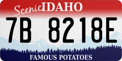 ID license plate 7B8218E