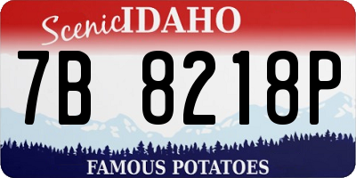 ID license plate 7B8218P
