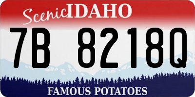 ID license plate 7B8218Q