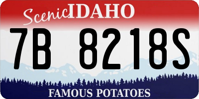 ID license plate 7B8218S