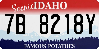 ID license plate 7B8218Y