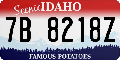 ID license plate 7B8218Z