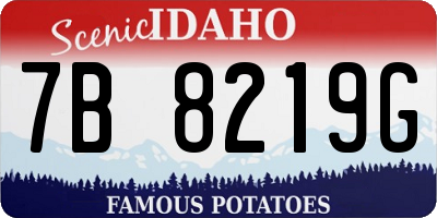 ID license plate 7B8219G