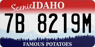 ID license plate 7B8219M