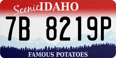 ID license plate 7B8219P