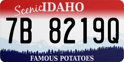 ID license plate 7B8219Q