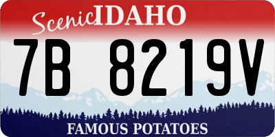 ID license plate 7B8219V
