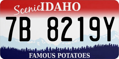 ID license plate 7B8219Y