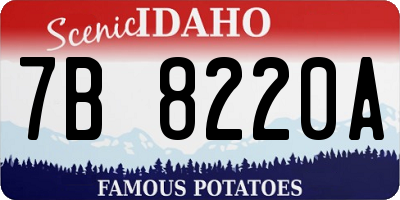 ID license plate 7B8220A