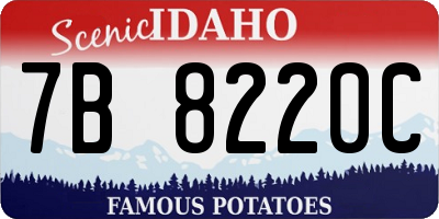 ID license plate 7B8220C