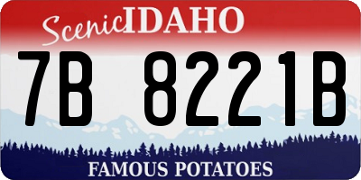 ID license plate 7B8221B