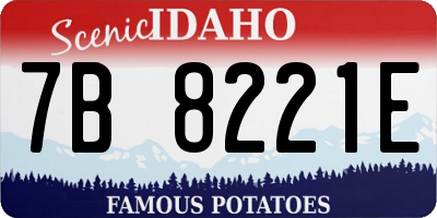 ID license plate 7B8221E
