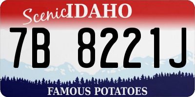 ID license plate 7B8221J