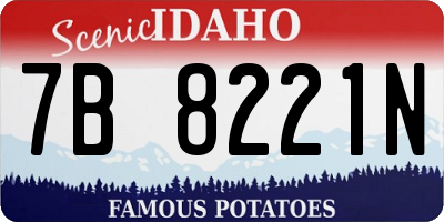 ID license plate 7B8221N