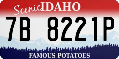 ID license plate 7B8221P
