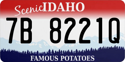 ID license plate 7B8221Q