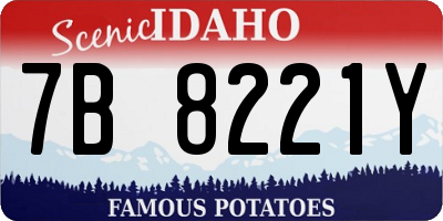 ID license plate 7B8221Y