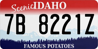 ID license plate 7B8221Z