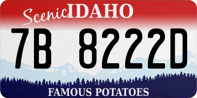 ID license plate 7B8222D
