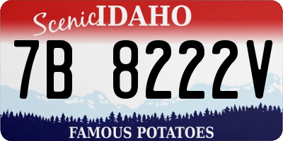 ID license plate 7B8222V