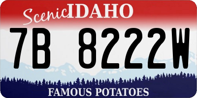 ID license plate 7B8222W
