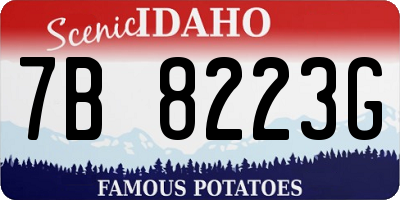 ID license plate 7B8223G