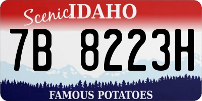 ID license plate 7B8223H
