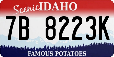 ID license plate 7B8223K