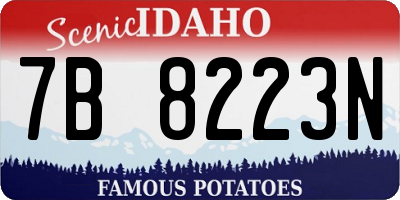 ID license plate 7B8223N