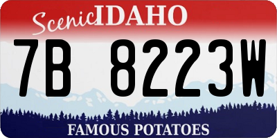 ID license plate 7B8223W