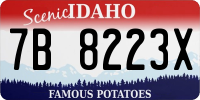 ID license plate 7B8223X