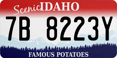 ID license plate 7B8223Y