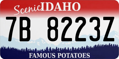 ID license plate 7B8223Z