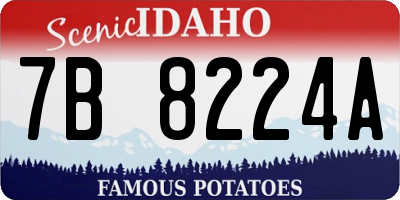 ID license plate 7B8224A