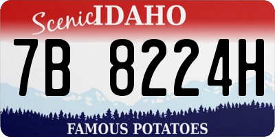 ID license plate 7B8224H