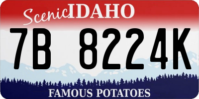 ID license plate 7B8224K